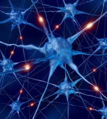 2013最 酷 科技產(chǎn)品 無(wú)人機(jī)送貨入列